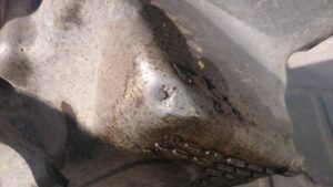 List od mieszkańca Plewisk.