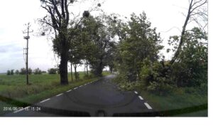 Wichura - utrudnienia na drodze.