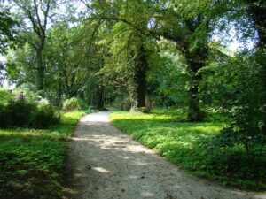 Dzisiaj prawdziwe otwarcie Parku Podworskiego