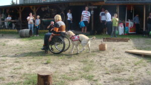 III Charytatywna Wystawa Psów