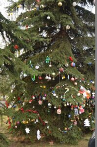 Odpalenie choinki [Zdjęcia]