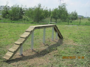 Wybieg dla psów w Plewiskach