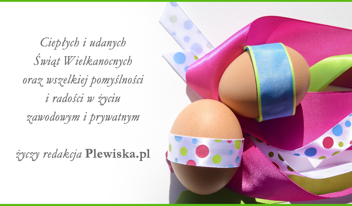 Świąteczne życzenia od Plewiska.pl