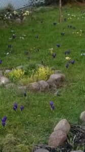 Wiosna w Plewiskach :)