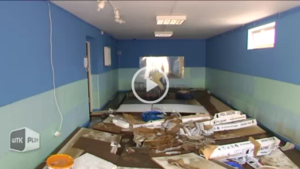 Dobytek zalany - materiał filmowy