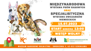 Międzynarodowa Wystawa Psów Rasowych