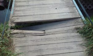 List od mieszkanki - kładka nad Plewianką