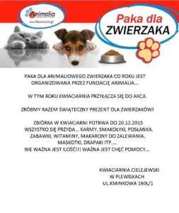 Świąteczna paczka dla podopiecznych Fundacji Animalia