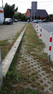 Zielone Plewiska - plan działania