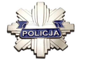 Śmiertelny wypadek - pociąg potrącił pieszego