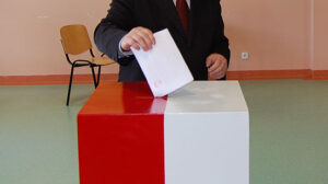 Rejestracja komitetów wyborczych 2014