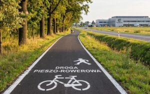 ścieżka z Plewisk do Gołusek