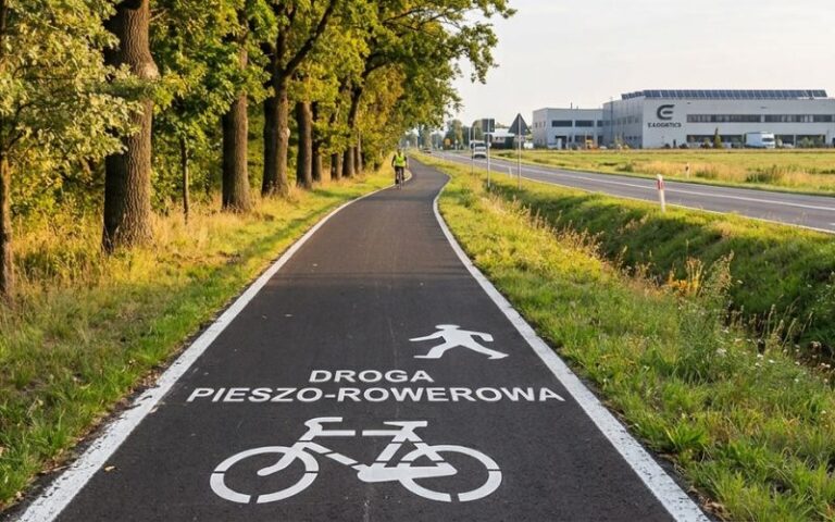 ścieżka z Plewisk do Gołusek